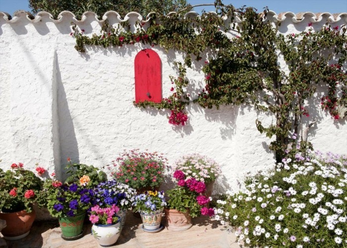 mediterranean garden floral decoration and fresh colors