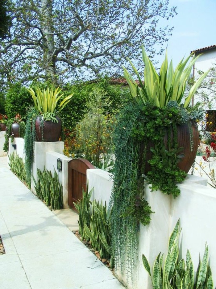 Mediterranean garden design Stylish garden ideas for the garden