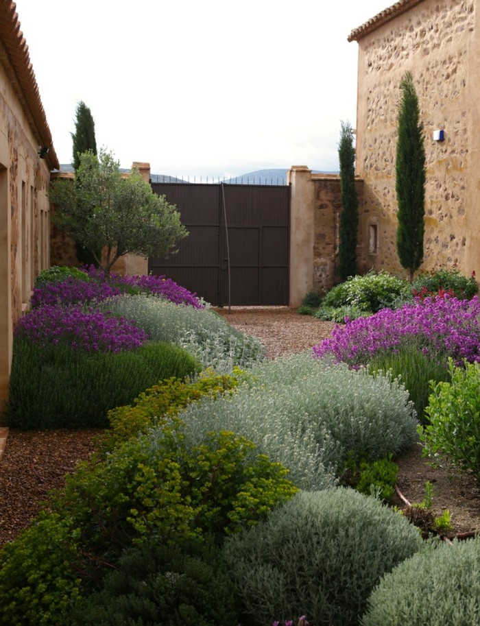 Mediterranean garden backyard shape ideas