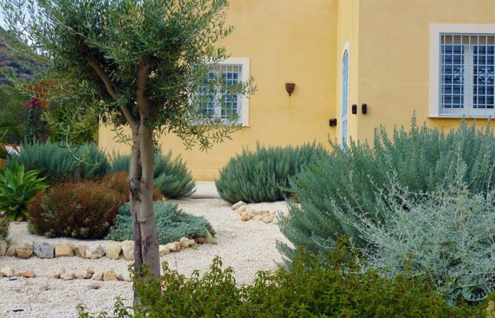 Plant Mediterranean garden and combine stones