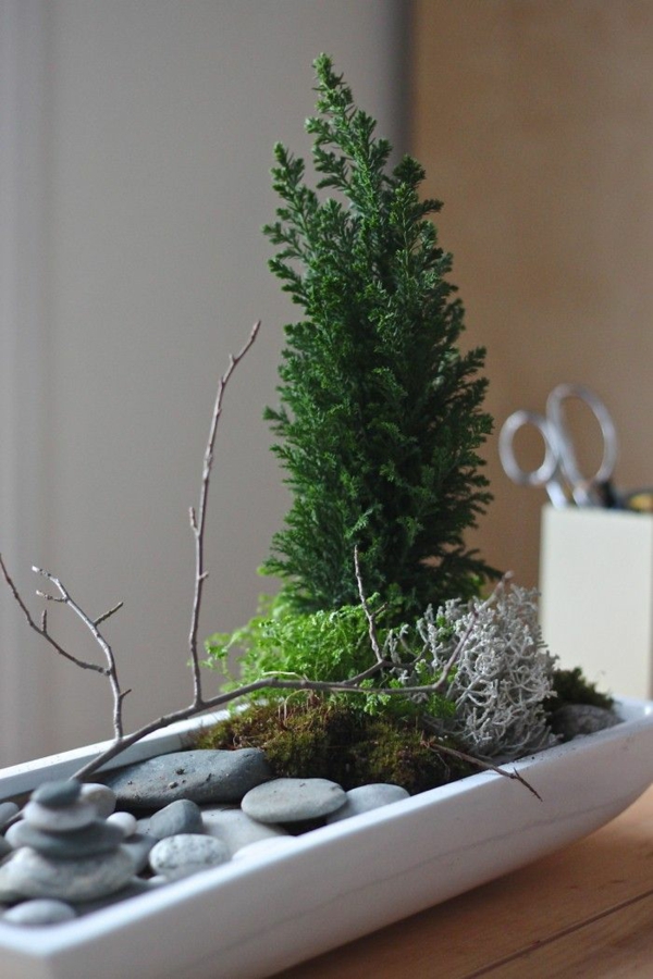 mini plantes de jardin zen créent des rochers