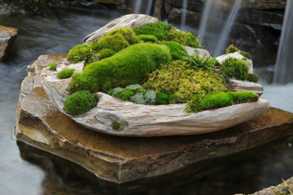 idées d'artisanat de jardin mini zen flat moss