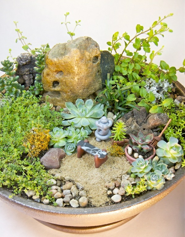 jardin mini zen artisanat idées plante plate
