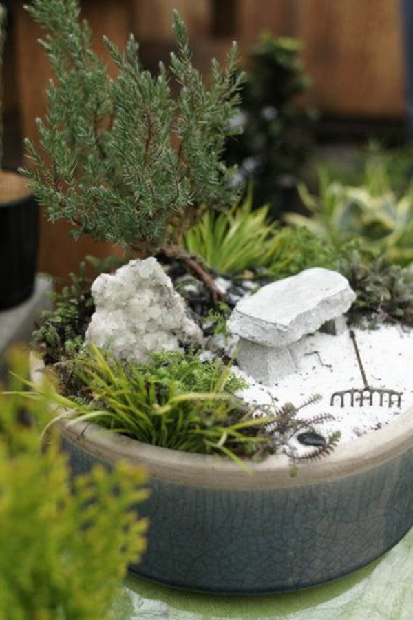 градина мини бонсай дизайн зелен мини дзен