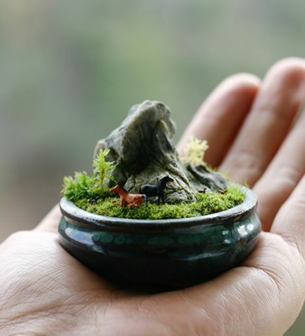 mini-bonsaïs poignée de mini jardin zen