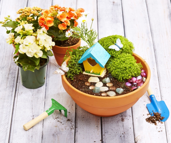 δημιουργήστε ένα lightbox κάνει αυτό το lightbox δημόσιο save save Αποθήκευση Προσθήκη στο καλάθι μικρογραφία άνοιξη ιδέα σχεδιασμού άνοιξη λουλούδι κήπο κήπο