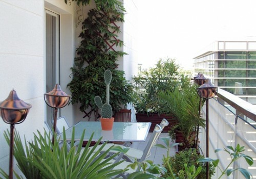 moderne balkon gezellige exotische planten glazen tafel cactussen bloempotten