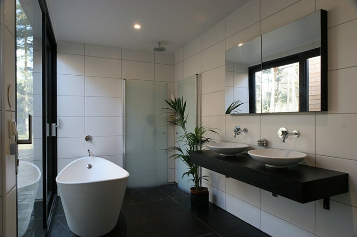 modern bathroom furniture bathtub shower plant