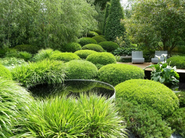 grădinile moderne ilustrează exemple de iarbă de grădinărit