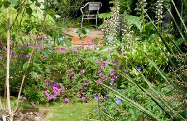 moderní zahrady obrázky rostliny dekorativní barevné praktické