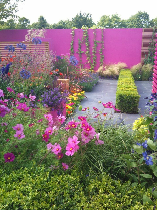 أمثلة الحدائق الحديثة شاشة الزهور الملونة