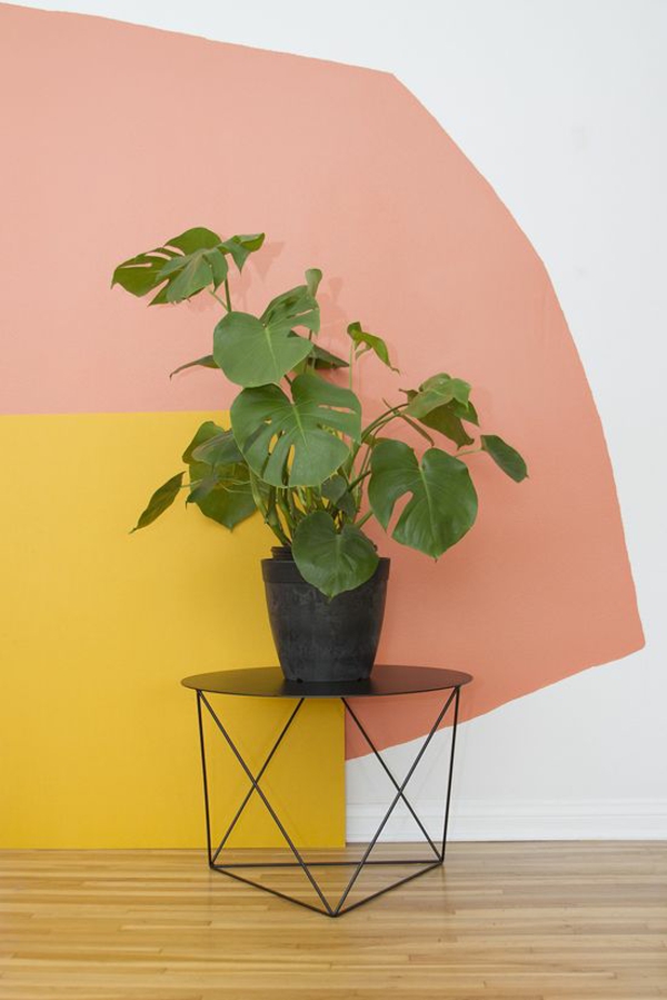 Moderní stěnová dekorace s barevnými vnitřními rostlinami