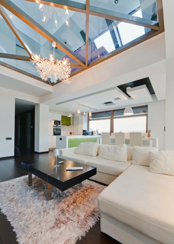 salon moderne mis en place sur le canapé de plafond en verre de toit