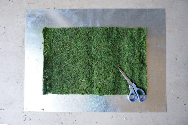 Moss til DIY vægsaks