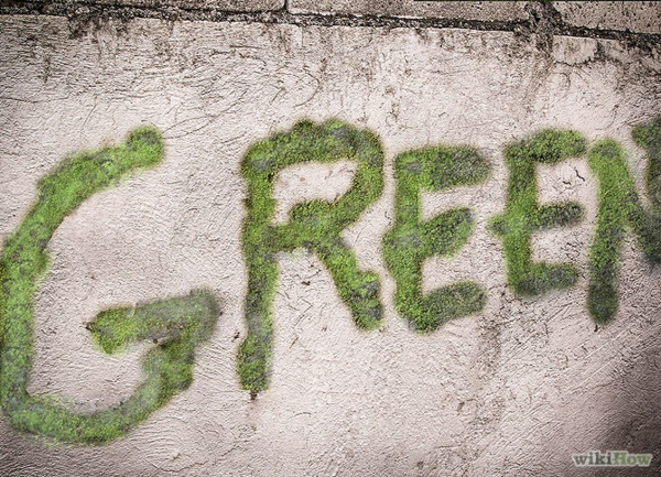 moss graffiti invata graffiti crea graffiti imagini verde