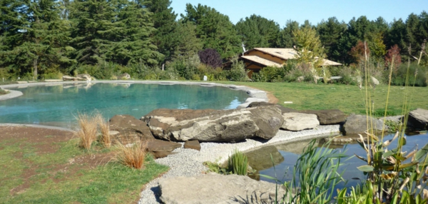 naturlig svømmebasseng hage