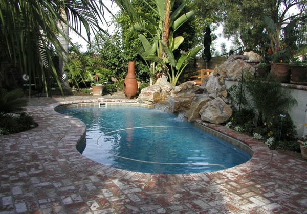 kidney shaped pool garden brick soil palm plant