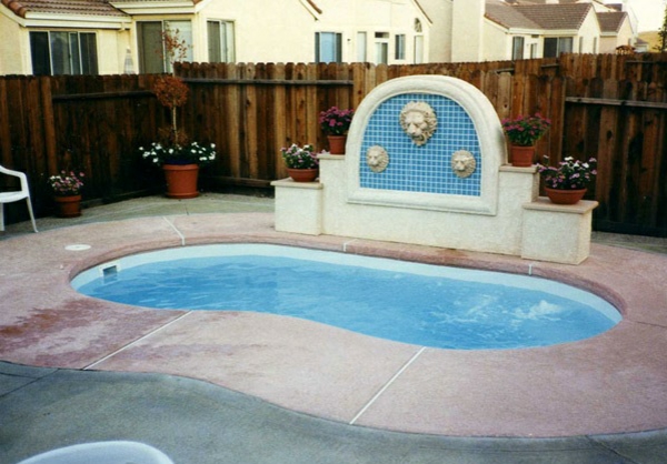 kidney shaped pool in garden garden fence wood visual care