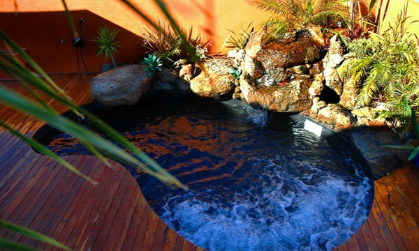 kidney shaped garden pool stones plant wood floor