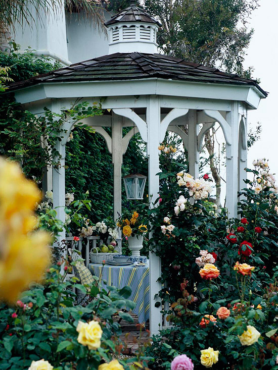 开放的凉亭木花园玫瑰床