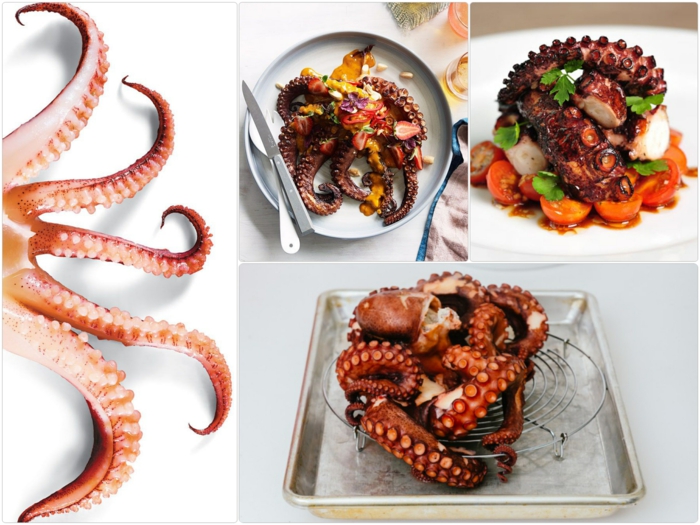 рецепти за приготвяне на октопод октопод за приготвяне на продукти