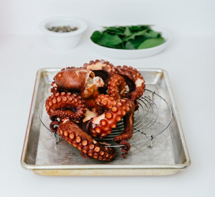 Rețete de gătit cu caracatițe cum să pregătești caracatița