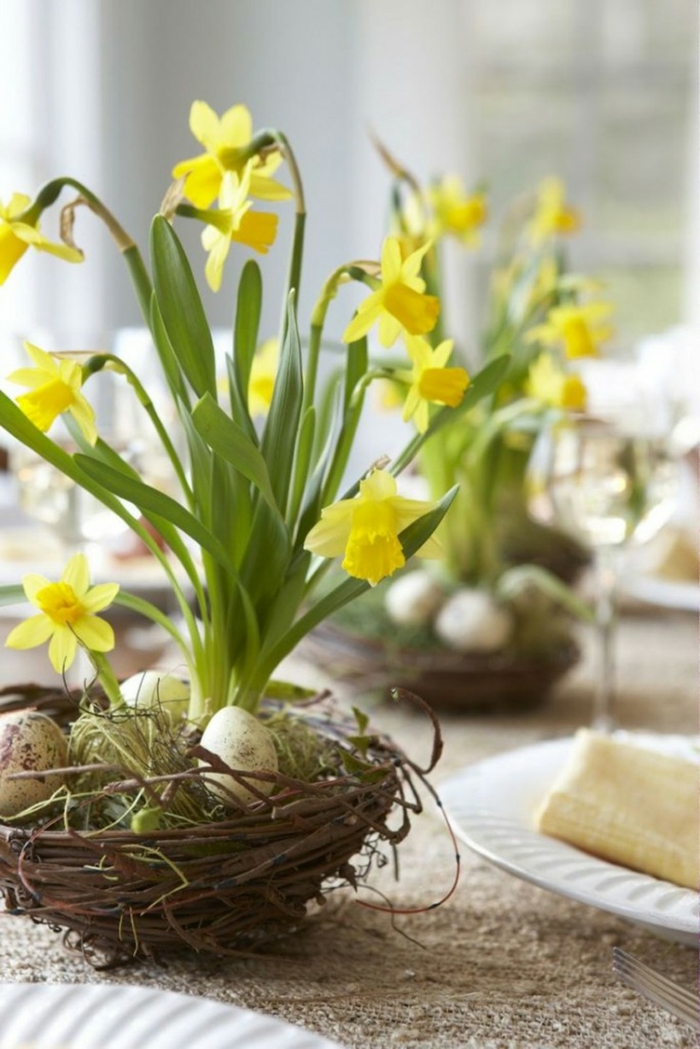 πασχαλινό διακόσμηση πασχαλινό διακόσμηση άνοιξη λουλούδια νάρκισσους αυγά ορτυκιού πασχαλινά αυγά φωλιά