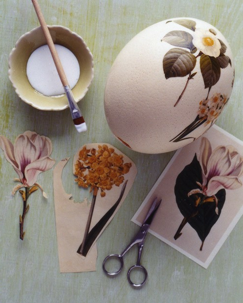 egg-med-serviett teknologi-magnolia