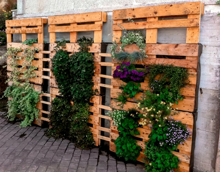 europalette ξύλο DIY ιδέες κατακόρυφο κήπο