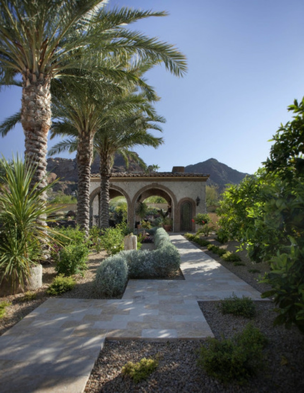 Palm in de tuin in pittoreske rijen Mediterrane stijl