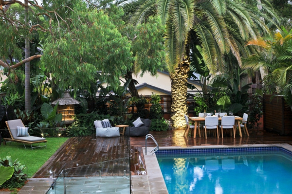 palm in de tuin mooi en trots bij het zwembad