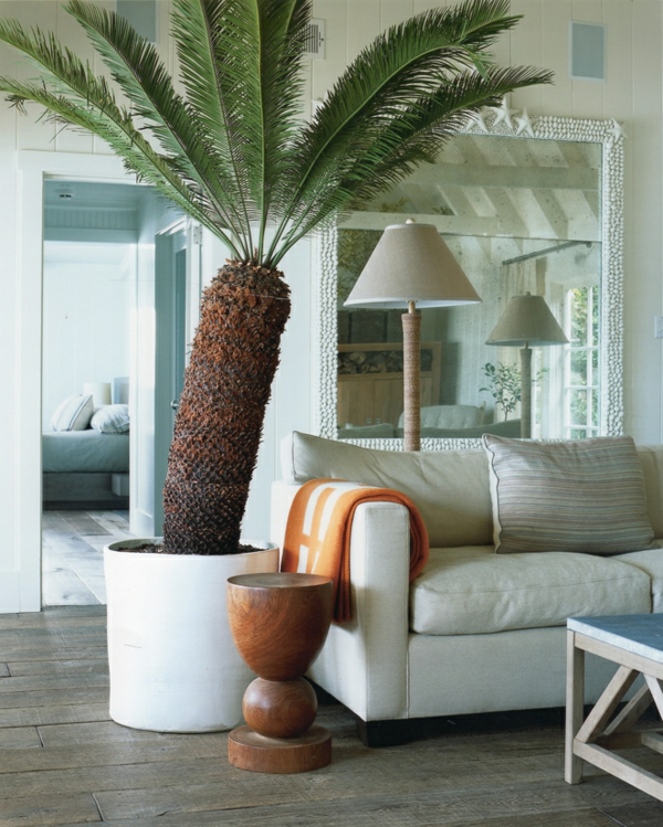手掌的卧室盆栽植物装饰的思路，客厅