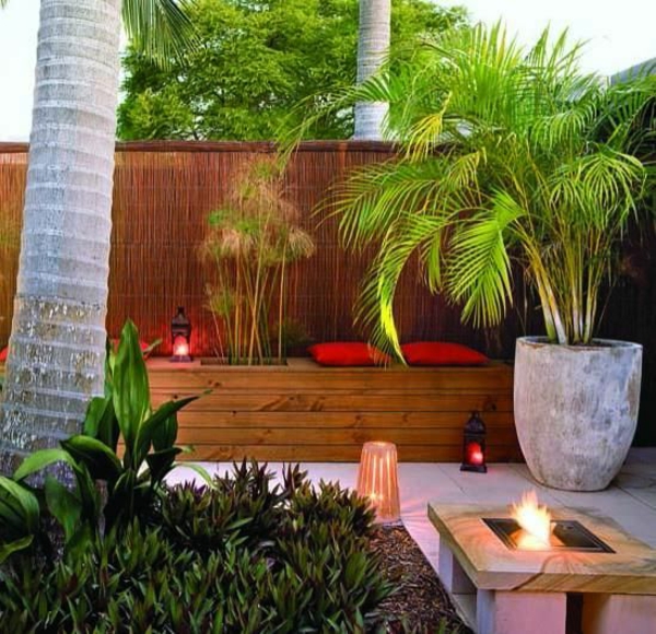 palmsartes goldfruit палмово палмово оформяне тераса дизайн