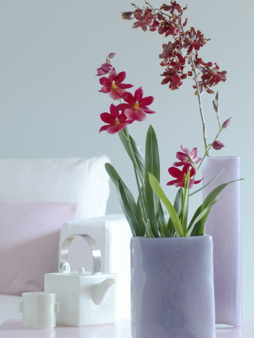 орхидея идея ярки червени пастелни нюанси бял кожен диван