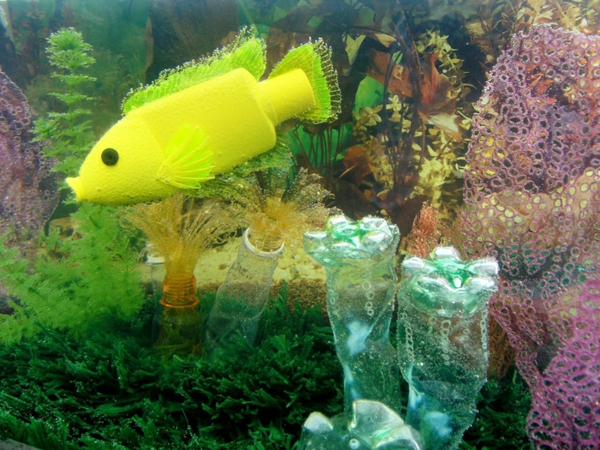 宠物瓶艺术水族馆鱼珊瑚藻类