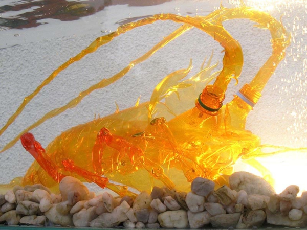 塑料瓶艺术橙色河蟹