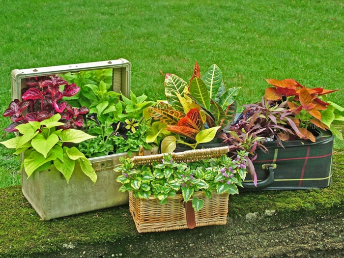 φυτευτής από παλιές βαλίτσες και καλάθια ιδέες κήπου