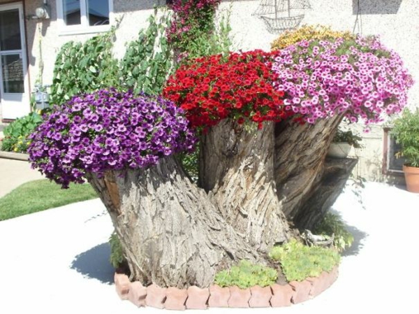 planta maceta tocón de árbol tres flores coloridas