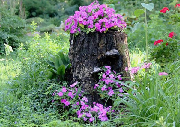 plant pot stump petite petunia purple