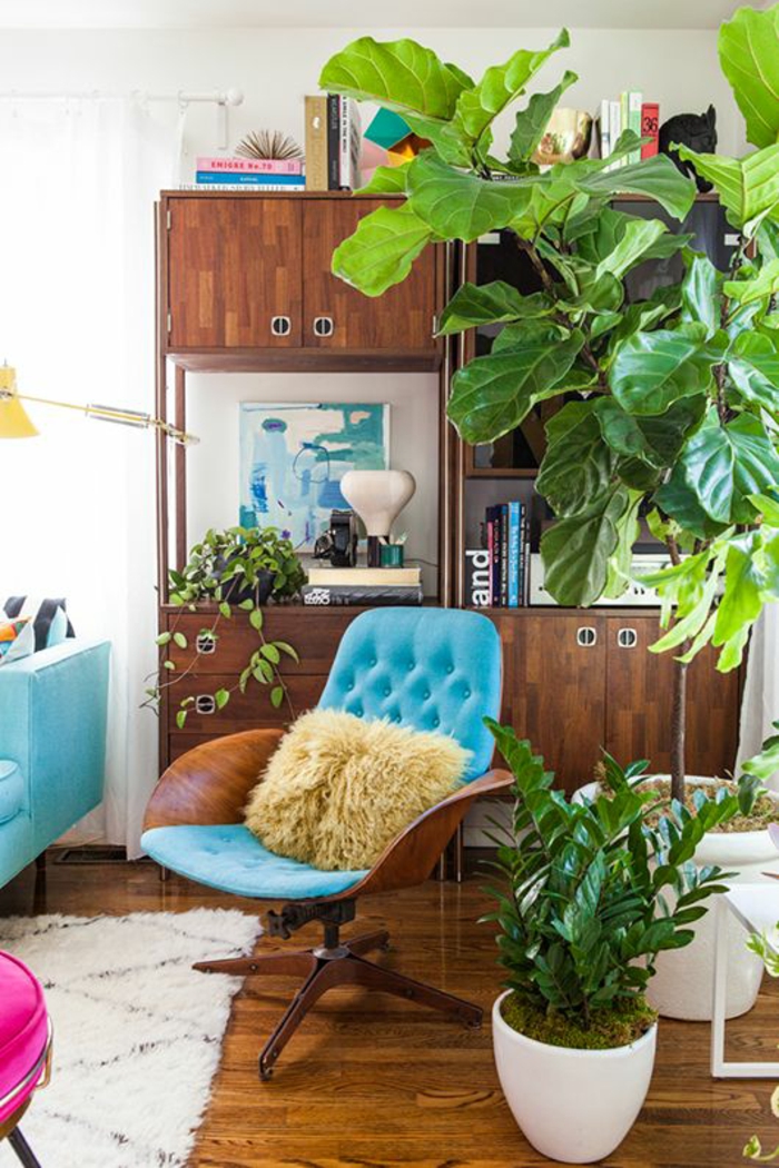 plantes d'intérieur faciles d'entretien images meubles de salon rétro