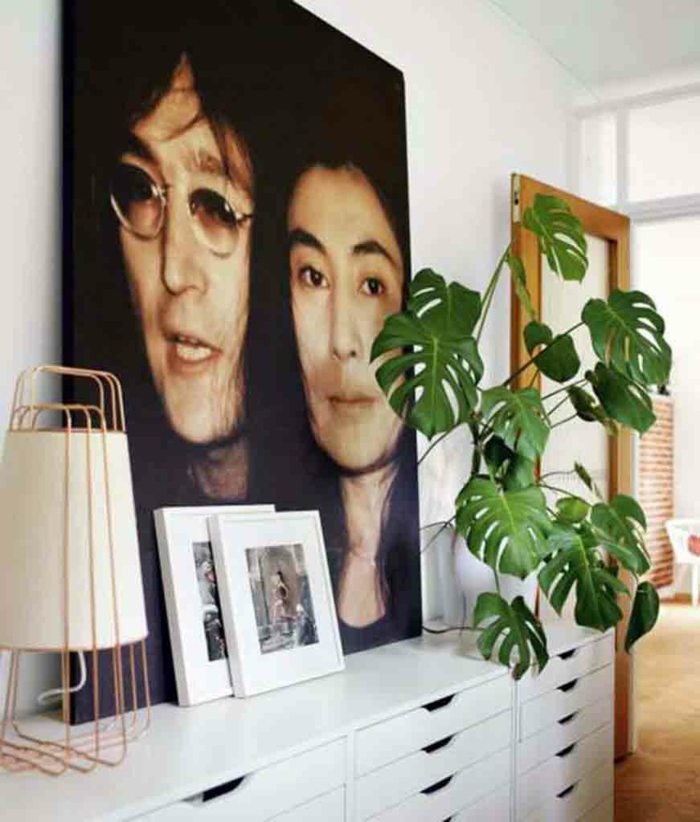易护理室内植物图片墙装饰的想法