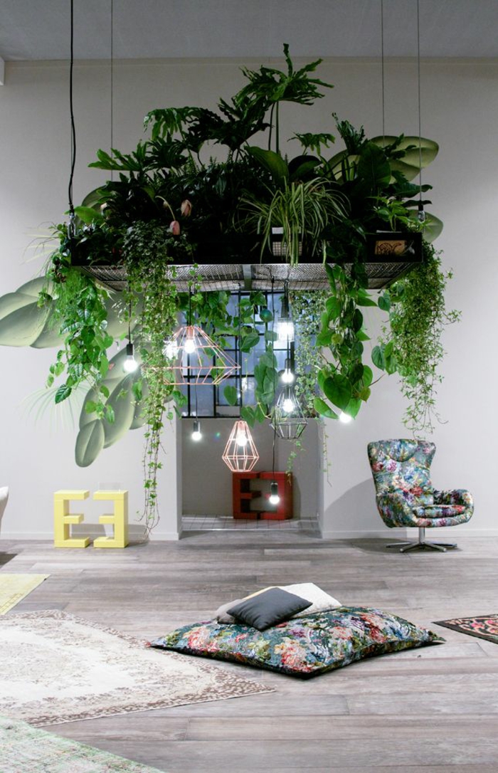 易护理室内植物图片吊植物吊灯设计