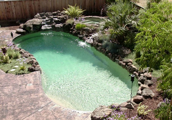 pool in the garden kidney-shaped landscaping mediteran palms plant rocks