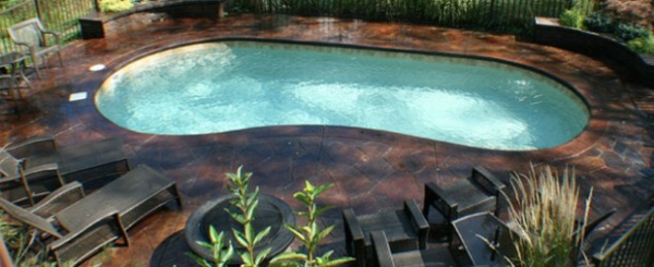 басейн в градината облицовани с бъбреци шезлонги за градината