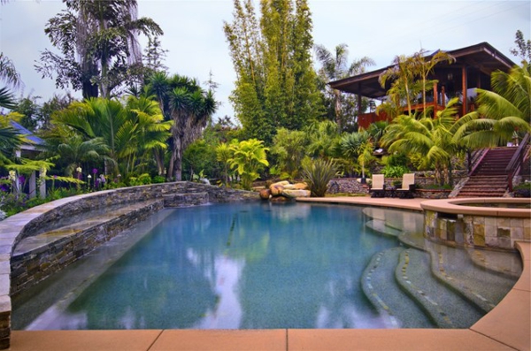 piscine dans le jardin spa cascade pierre palmiers paysage