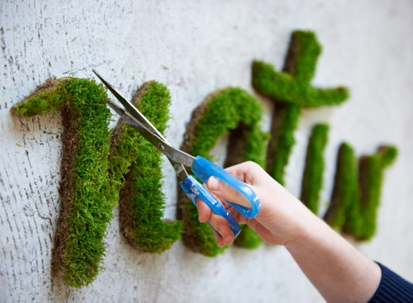 project nature graffiti create graffiti from moss artist anna garforth