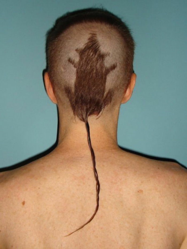 大鼠理发发型的想法的人