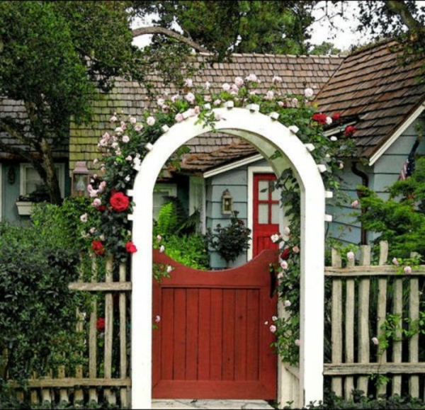 rose arch entrance gate colorful flowers