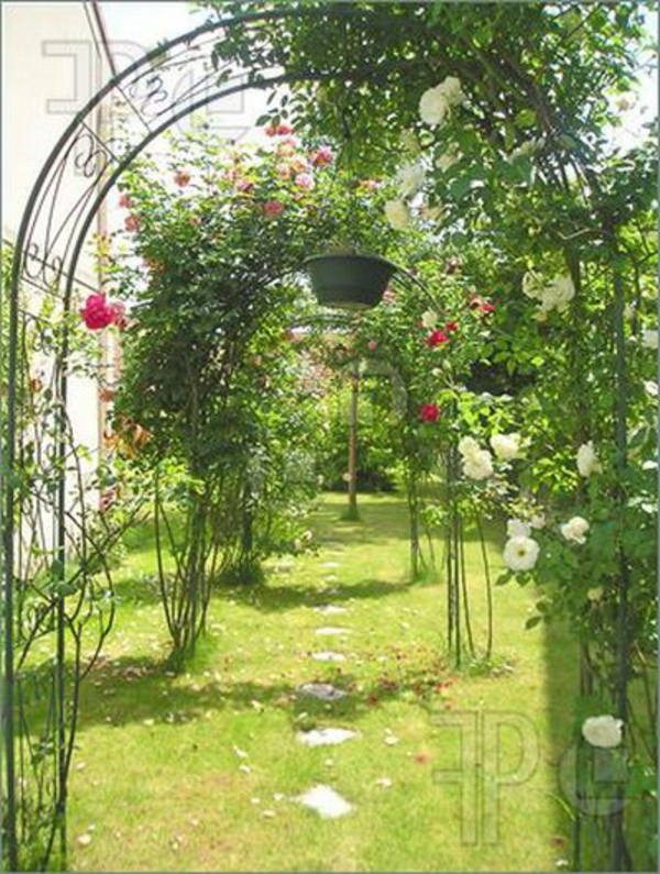 arche de rose dans le jardin fleurs colorées