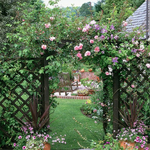 rose arch in the garden wooden fence